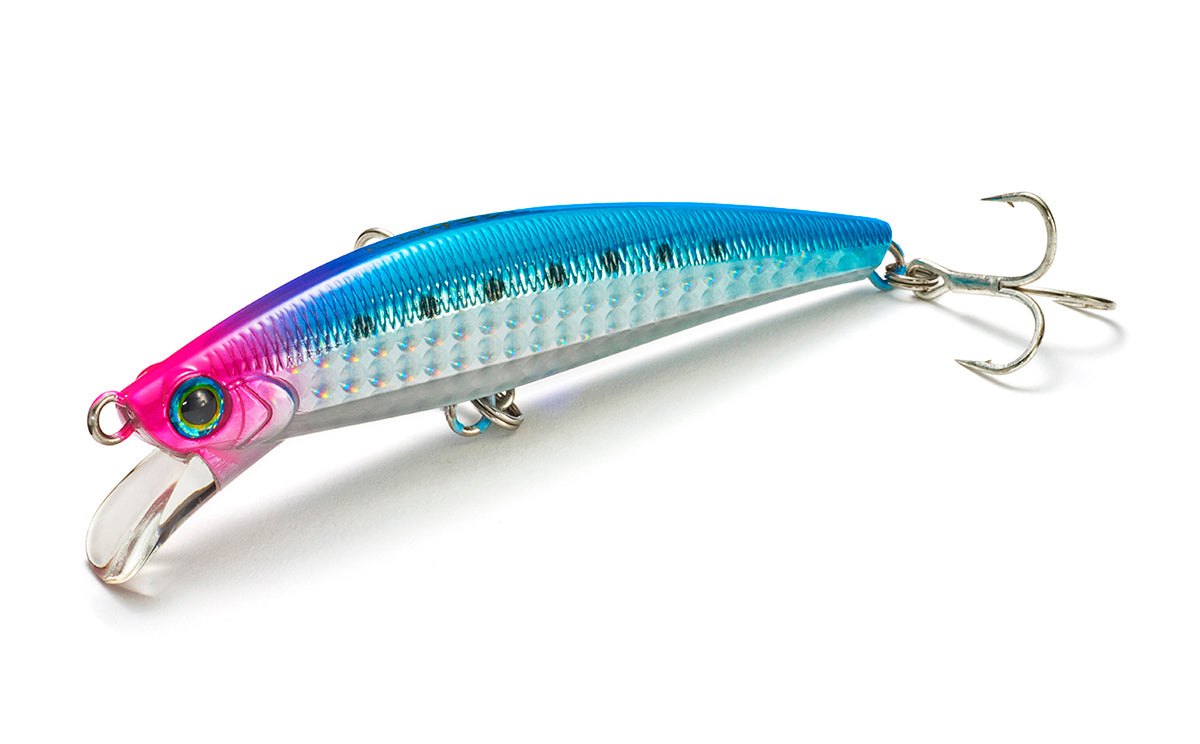 Pintail Sagoshi Tune - Jackson