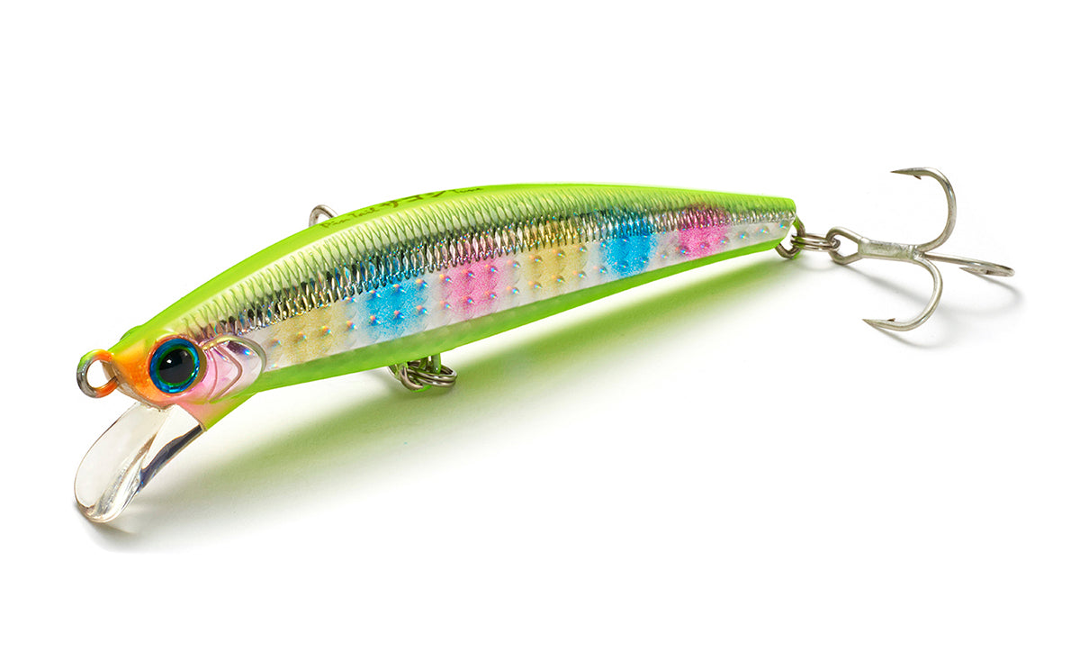 Pintail Sagoshi Tune - Jackson