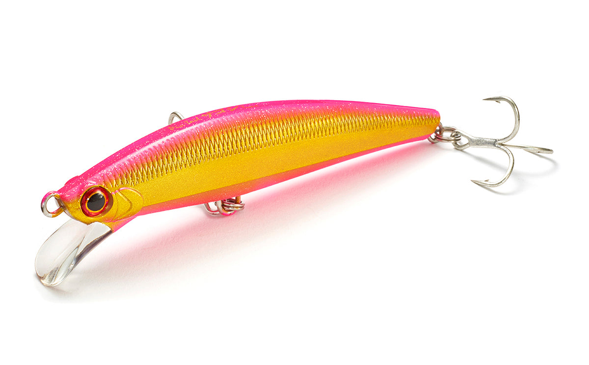 Pintail Sagoshi Tune - Jackson