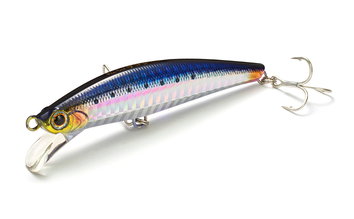 Pintail Sagoshi Tune - Jackson