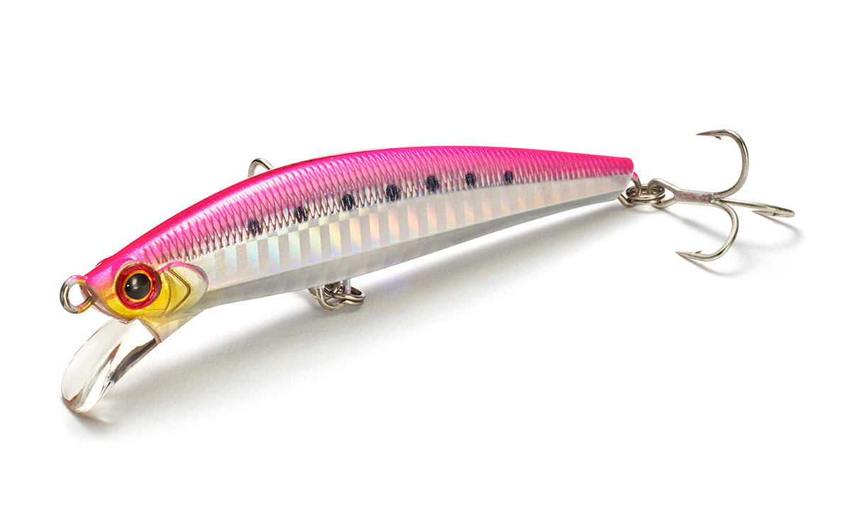 Pintail Sagoshi Tune - Jackson