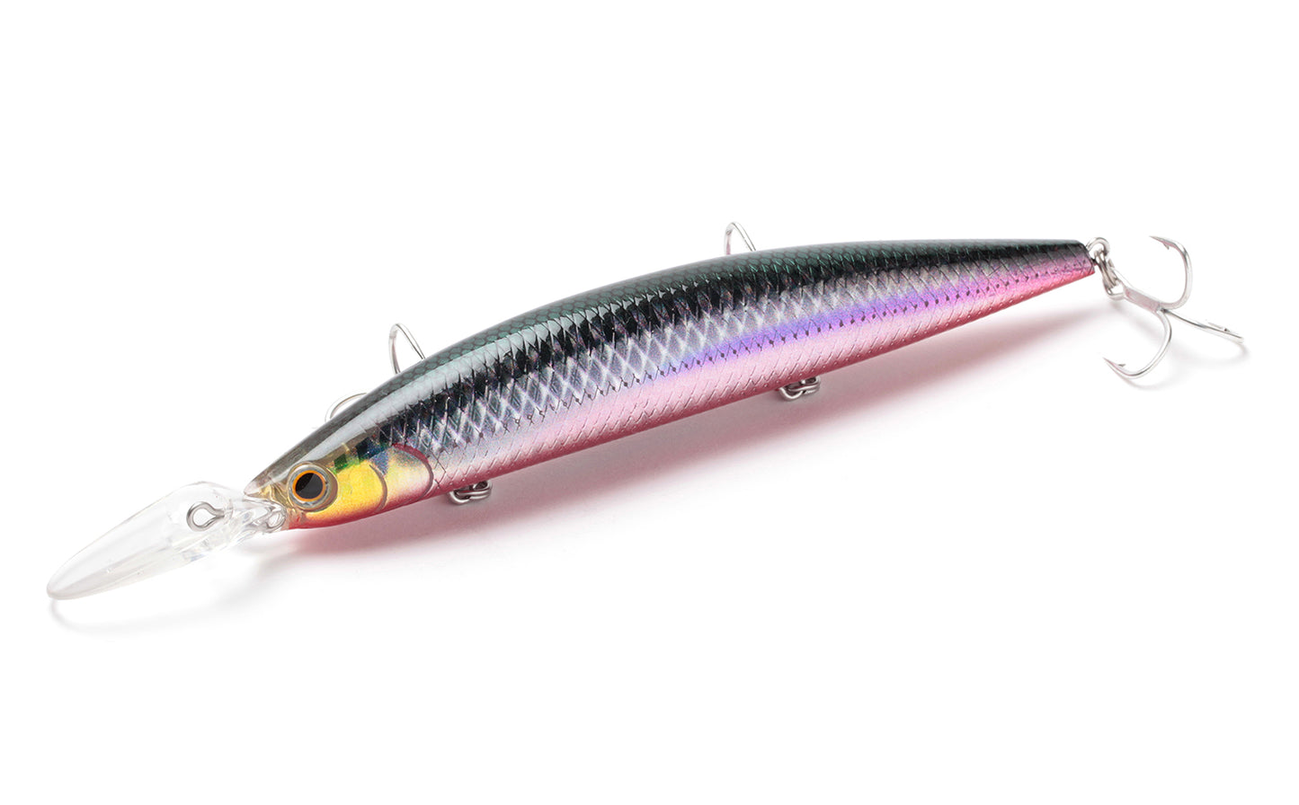 Athlete 13MDS - Jackson