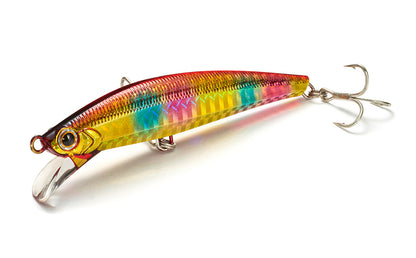 Pintail Sagoshi Tune - Jackson