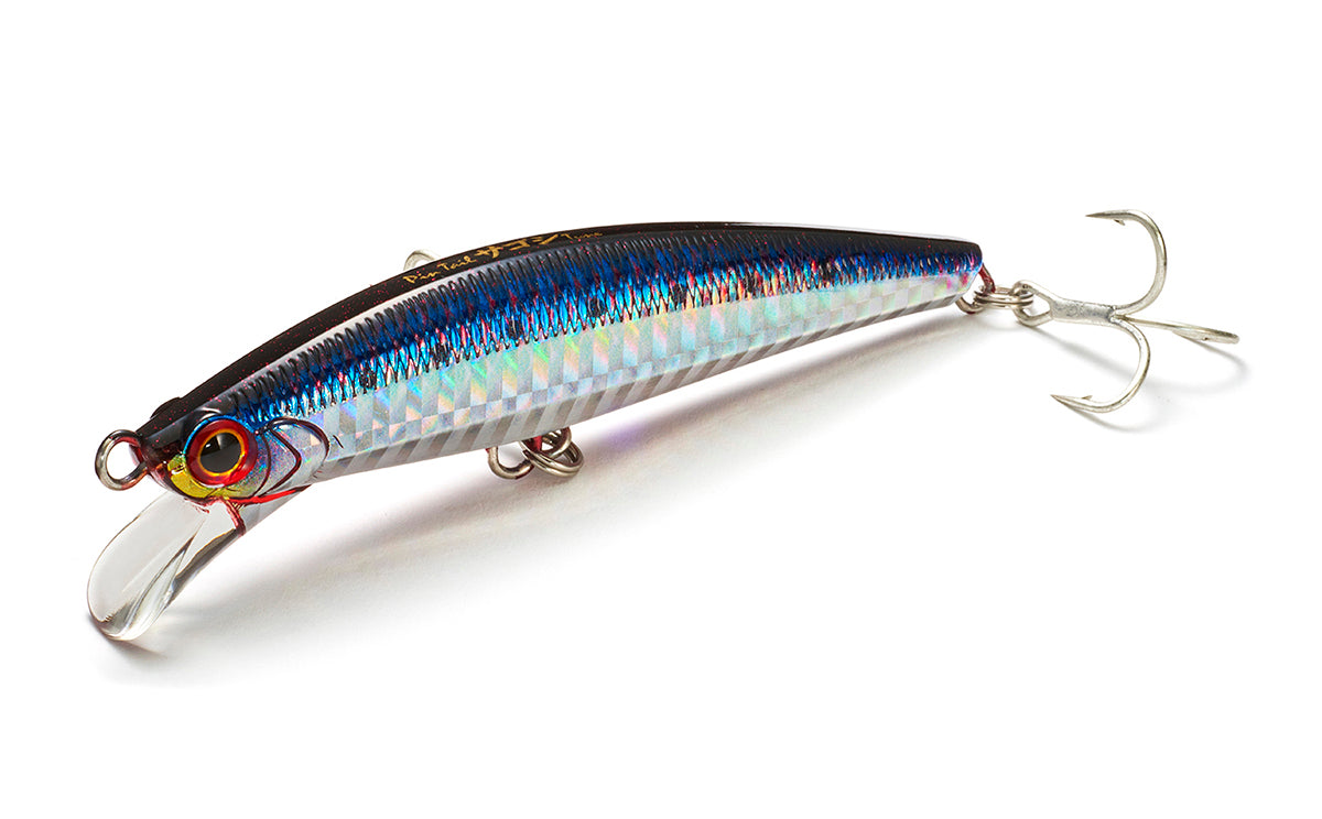 Pintail Sagoshi Tune - Jackson