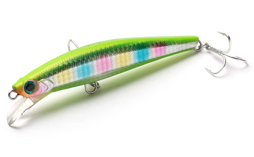 Pintail Sawara Tune - Jackson