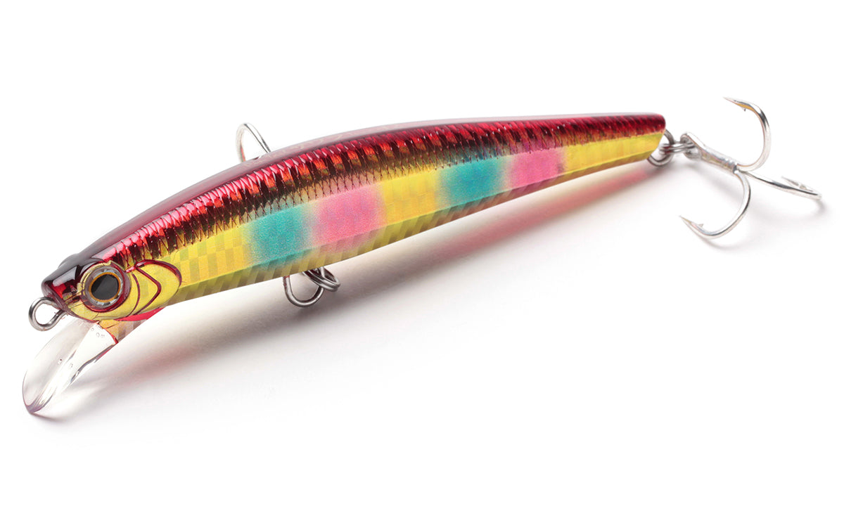 Pintail Sawara Tune - Jackson