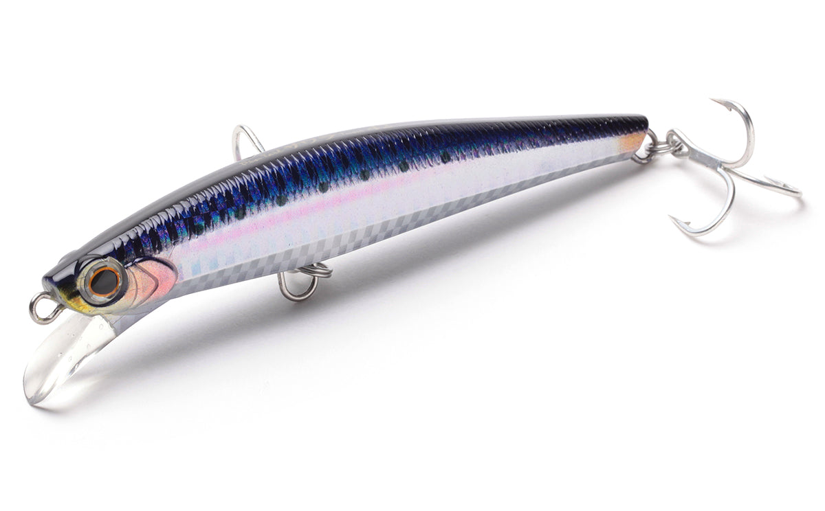 Pintail Sawara Tune - Jackson
