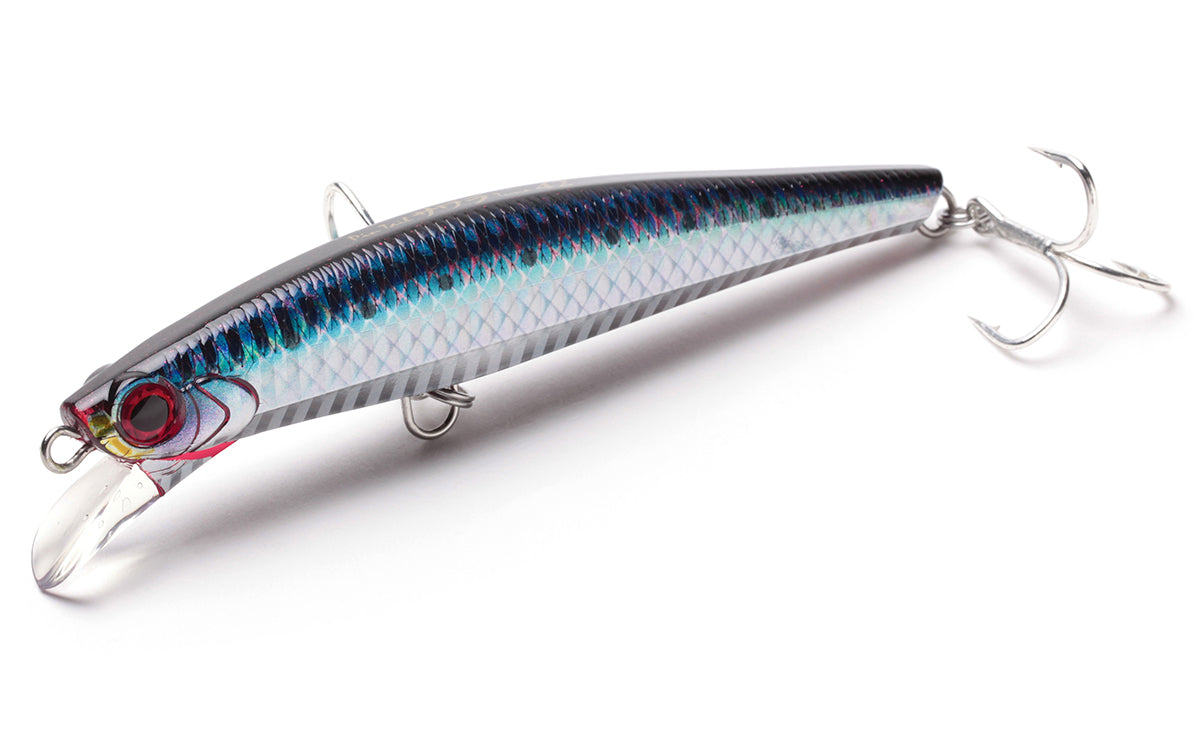Pintail Sawara Tune - Jackson
