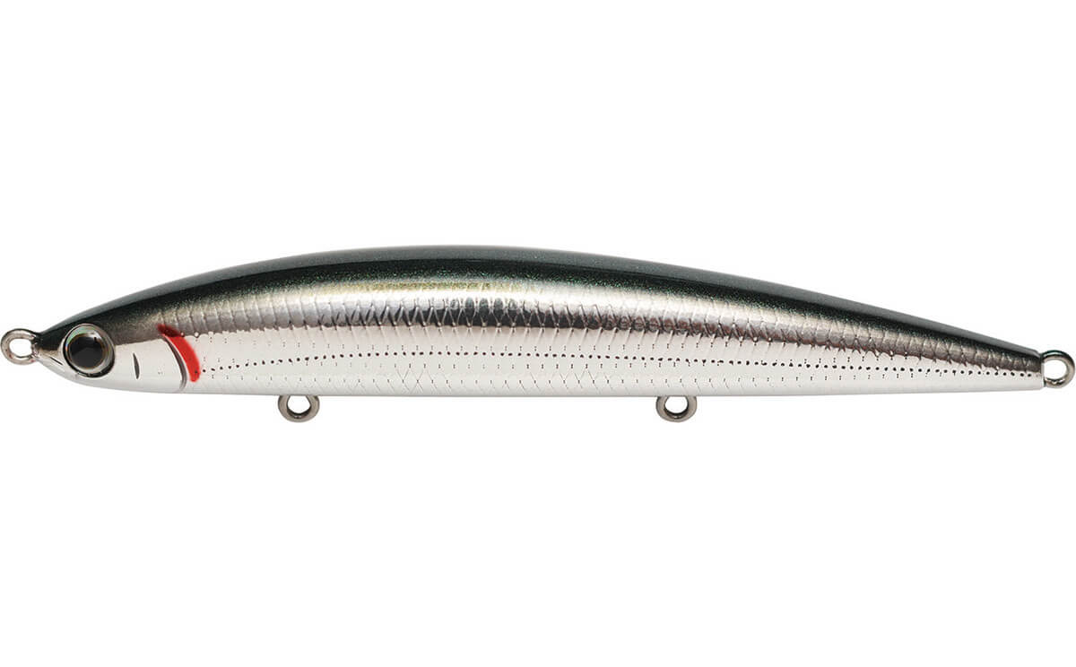 Athlete SSP 105 - Jackson