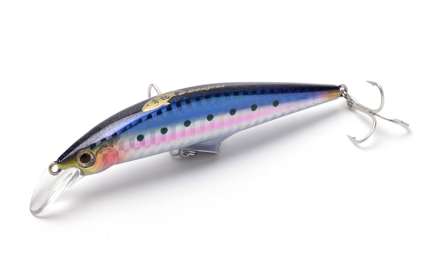 G-Control 28 - Jackson