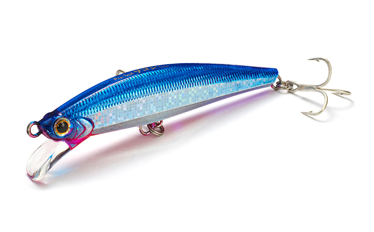 Pintail Sagoshi Tune - Jackson