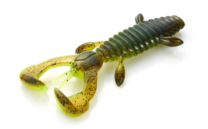 Chinukoro Hog - Jackson