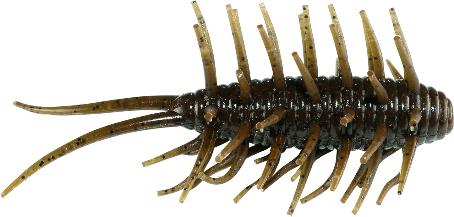 Coike Shrimp - HIDEUP