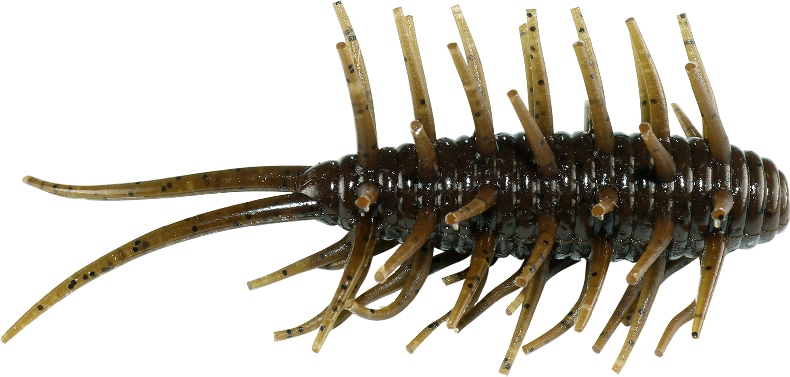 Coike Shrimp - HIDEUP