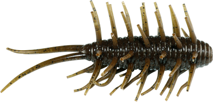 Coike Shrimp - HIDEUP