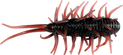 Coike Shrimp - HIDEUP