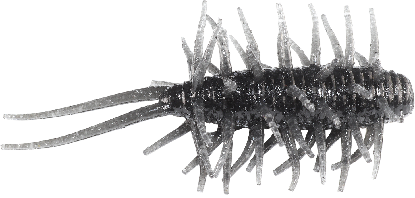 Coike Shrimp - HIDEUP