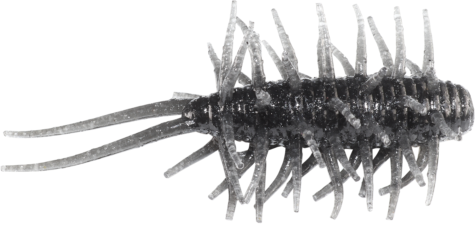 Coike Shrimp - HIDEUP