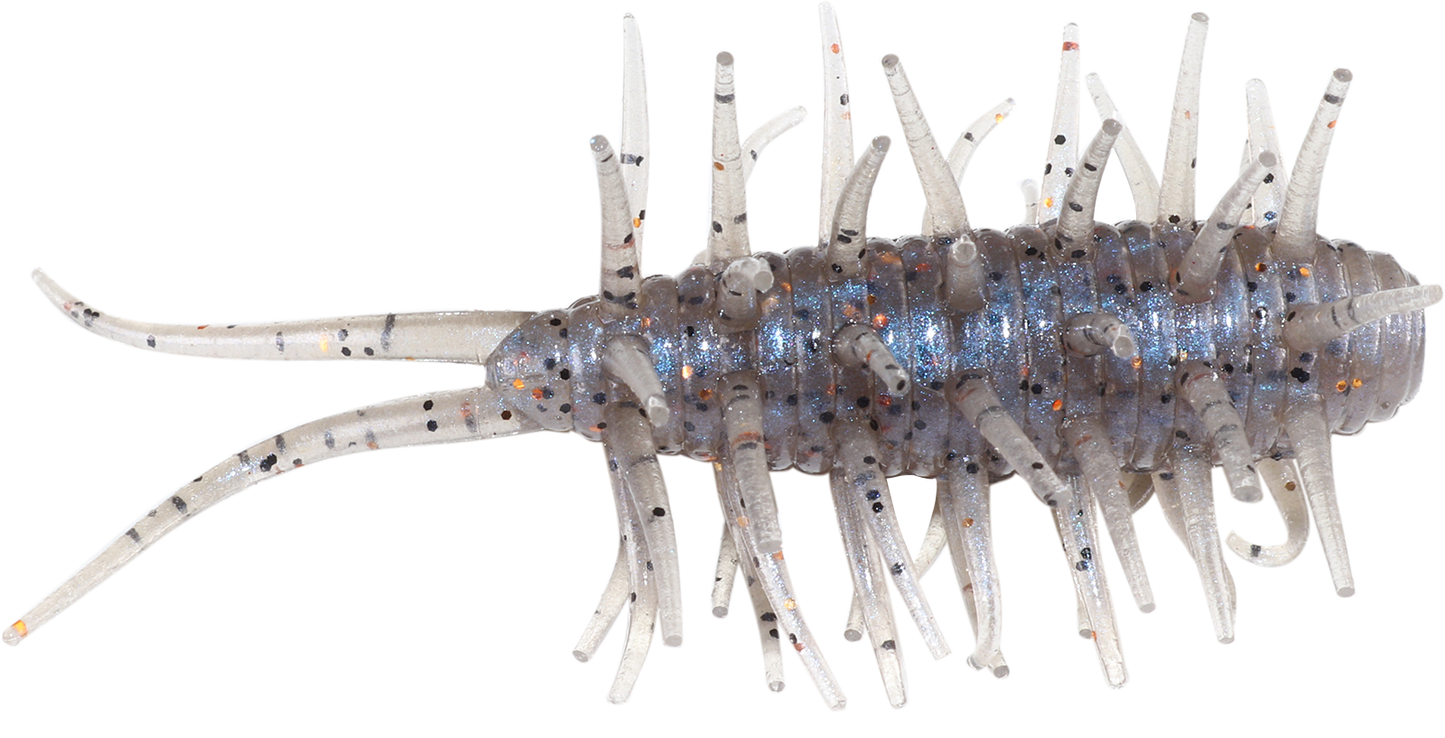 Coike Shrimp - HIDEUP