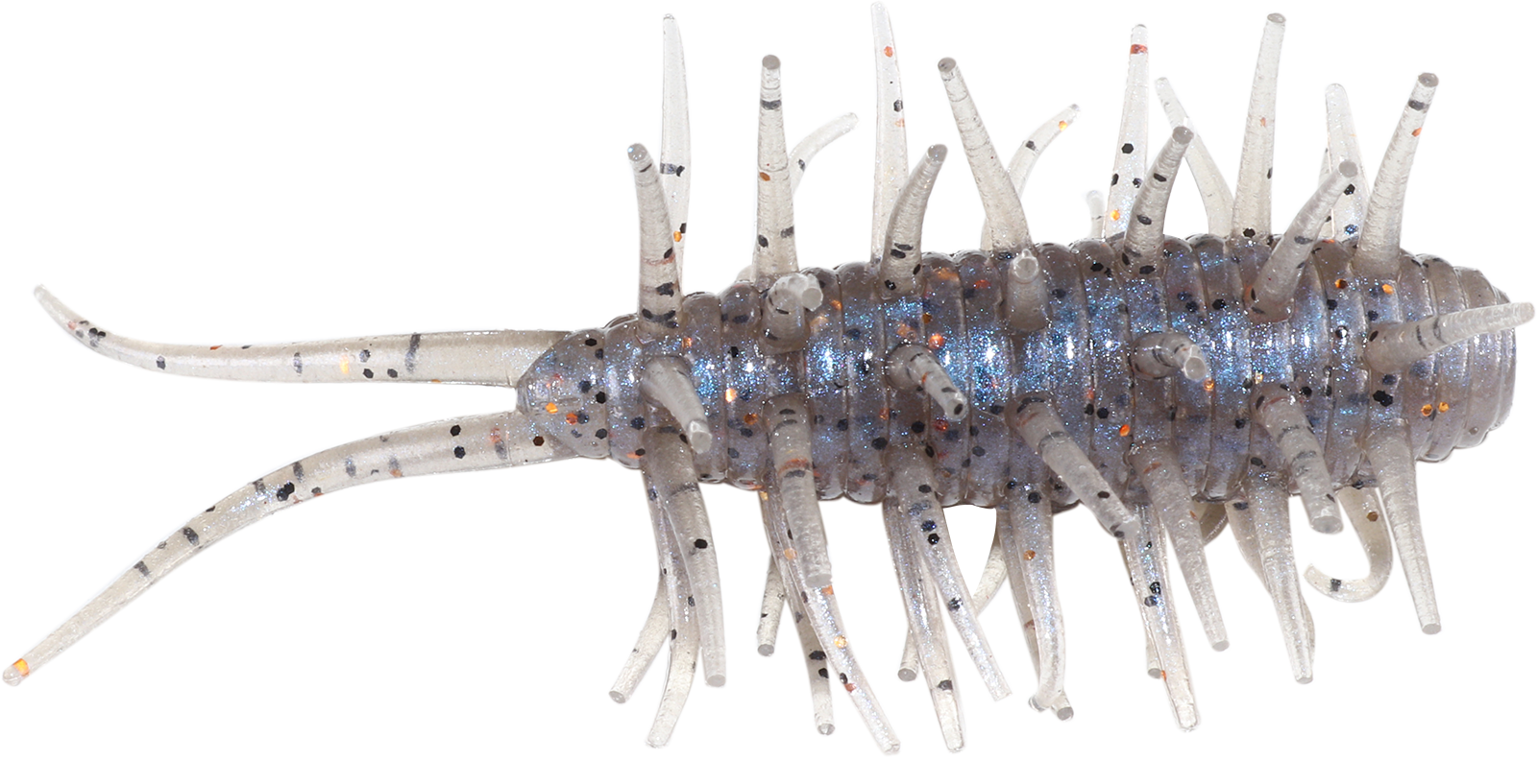 Coike Shrimp - HIDEUP