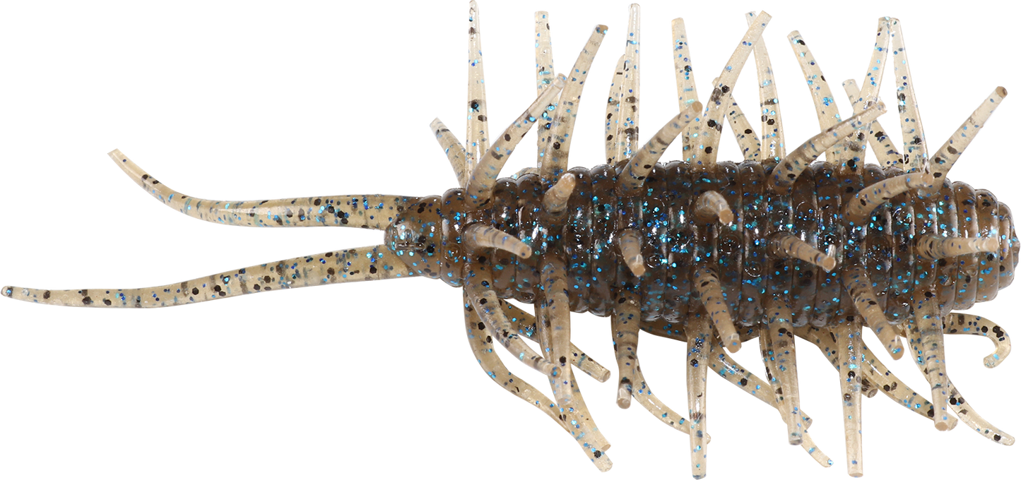 Coike Shrimp - HIDEUP