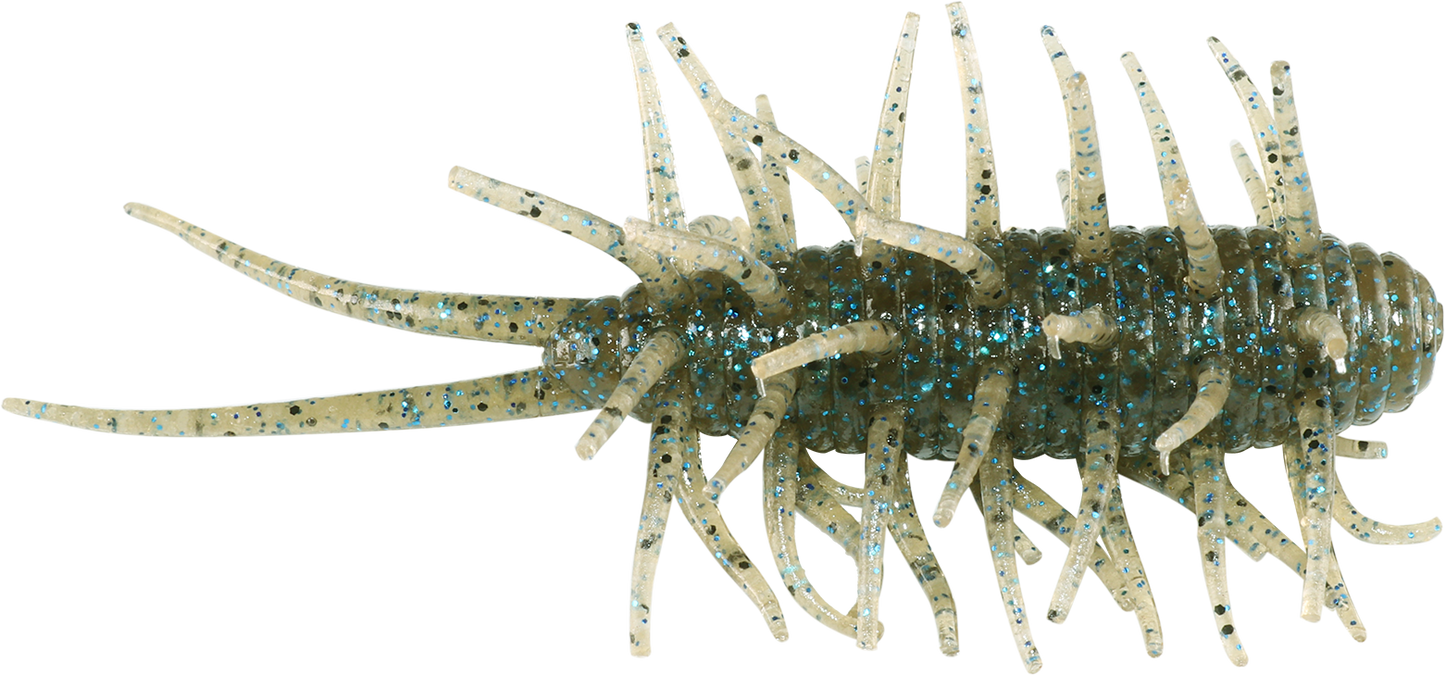 Coike Shrimp - HIDEUP