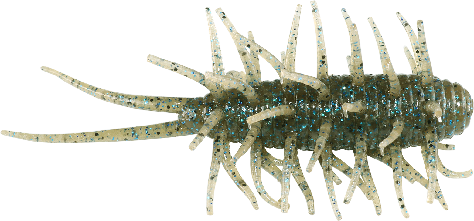 Coike Shrimp - HIDEUP
