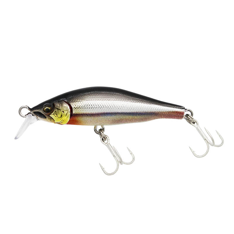 Gillary-02 - LITTLE JACK