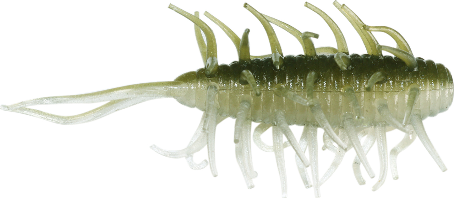 Coike Shrimp - HIDEUP