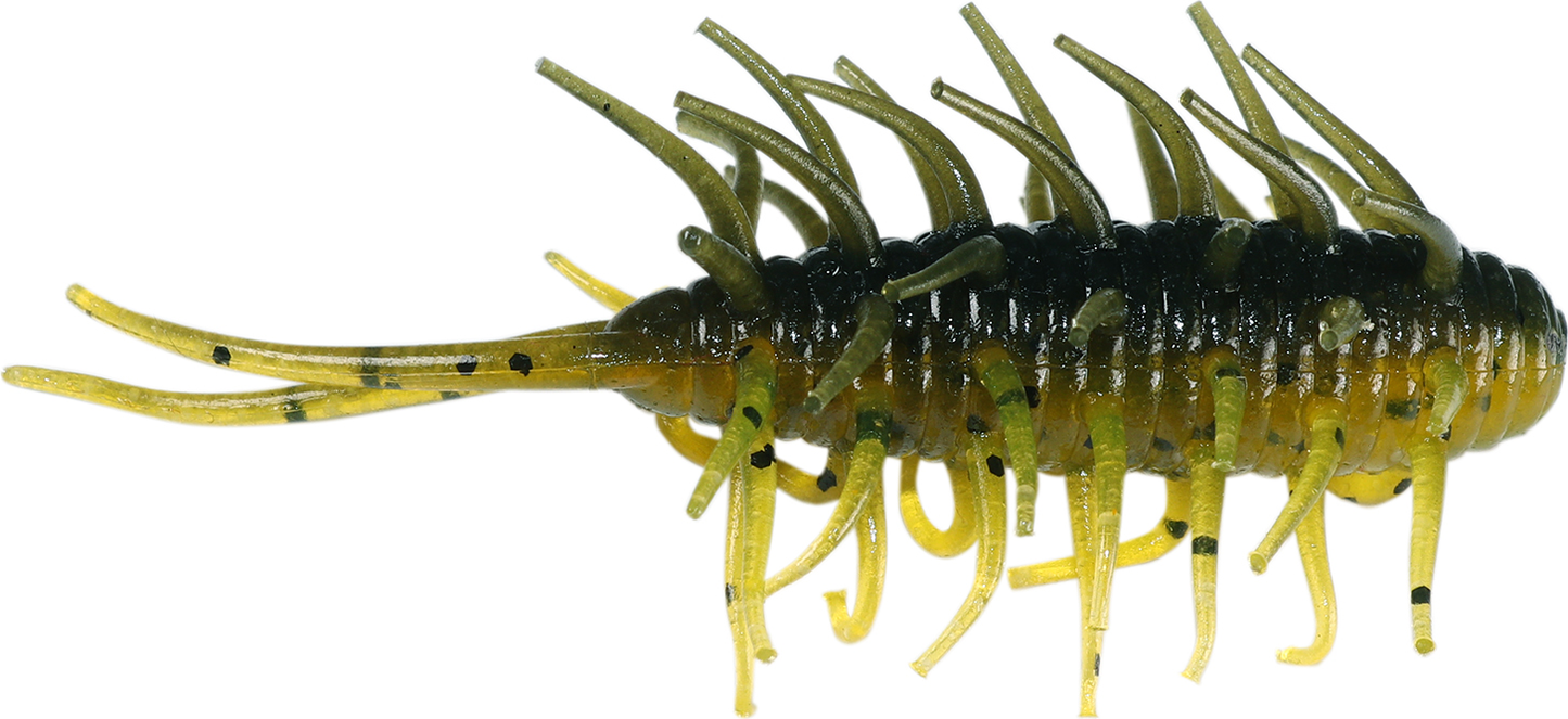 Coike Shrimp - HIDEUP