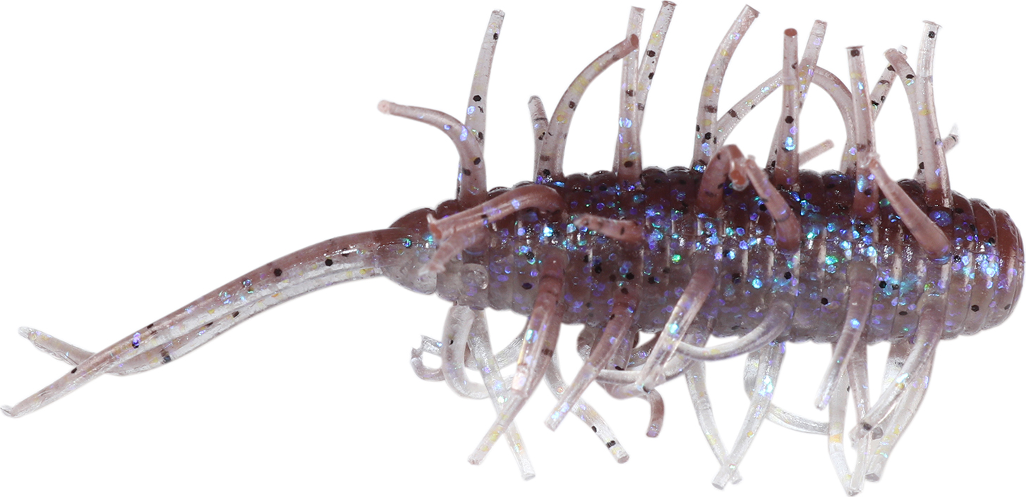 Coike Shrimp - HIDEUP