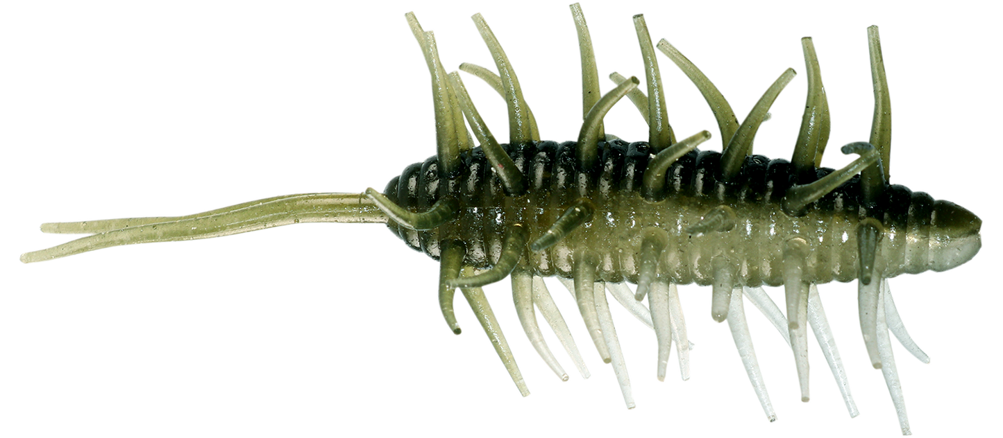 Coike Shrimp Big - HIDEUP