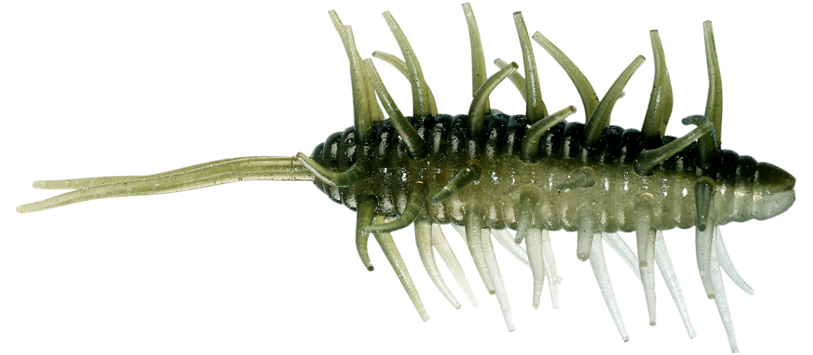 Coike Shrimp Big - HIDEUP