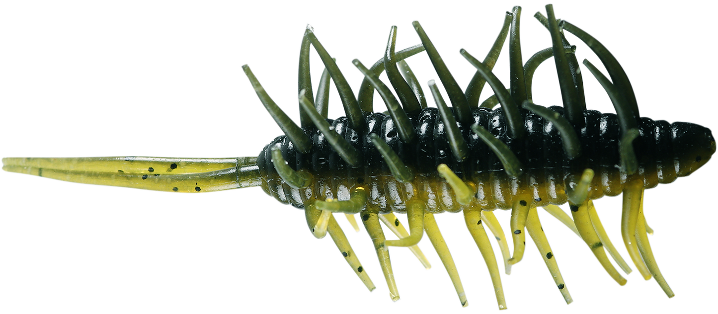 Coike Shrimp Big - HIDEUP