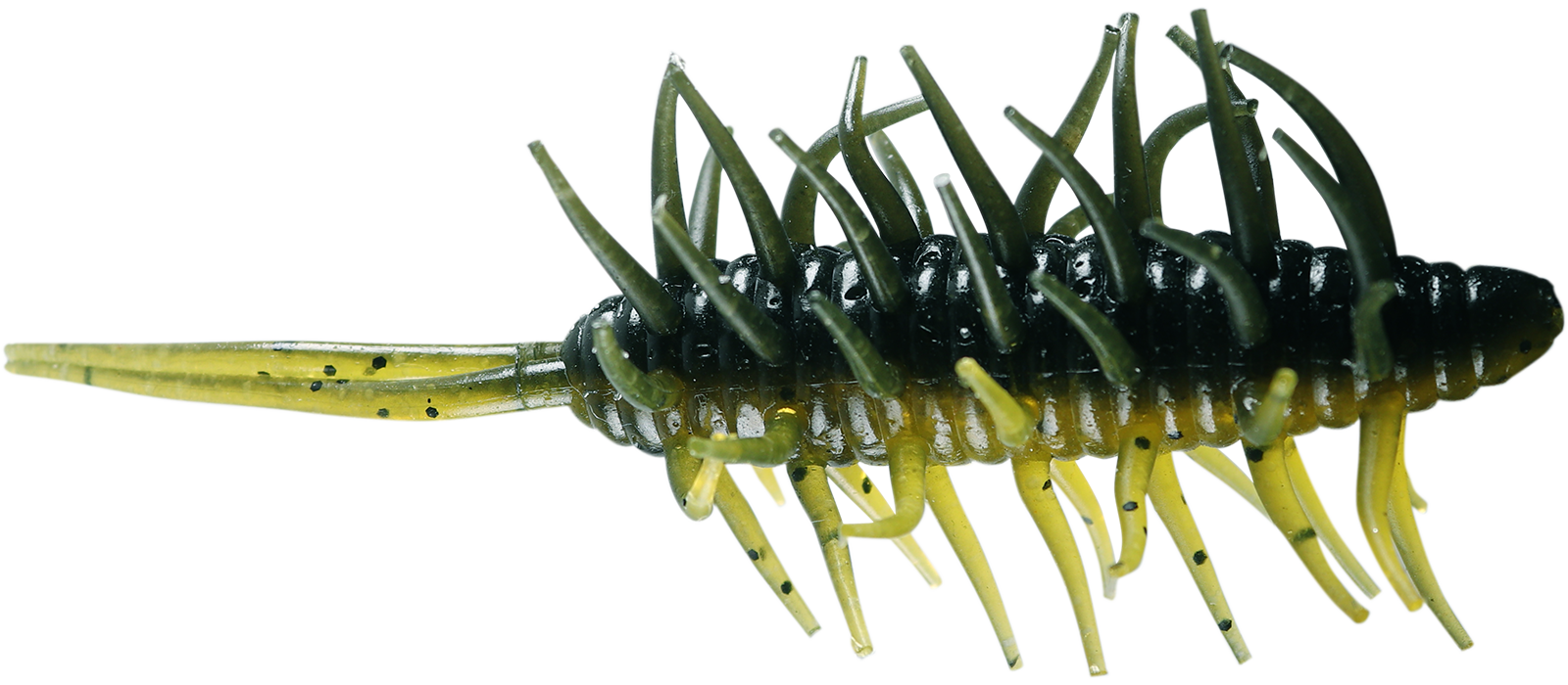 Coike Shrimp Big - HIDEUP