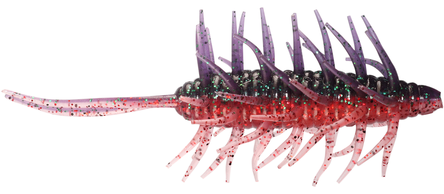 Coike Shrimp Big - HIDEUP