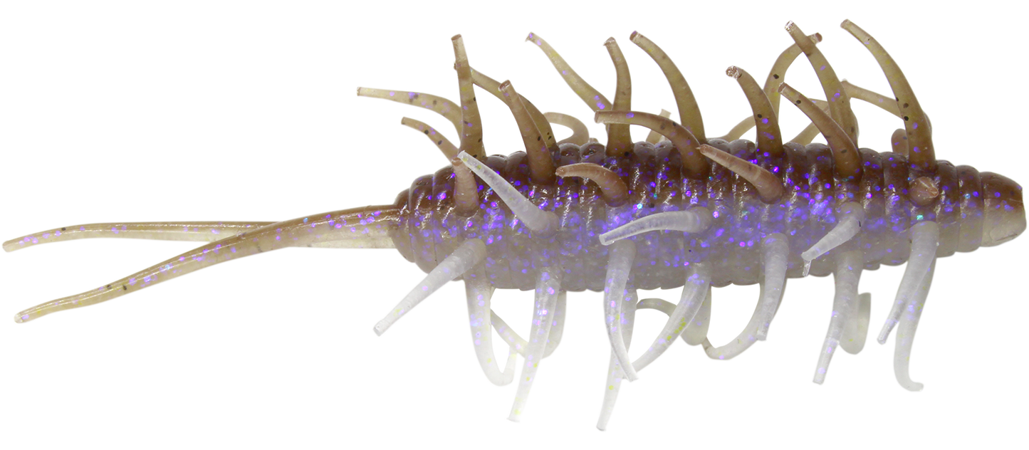 Coike Shrimp Big - HIDEUP