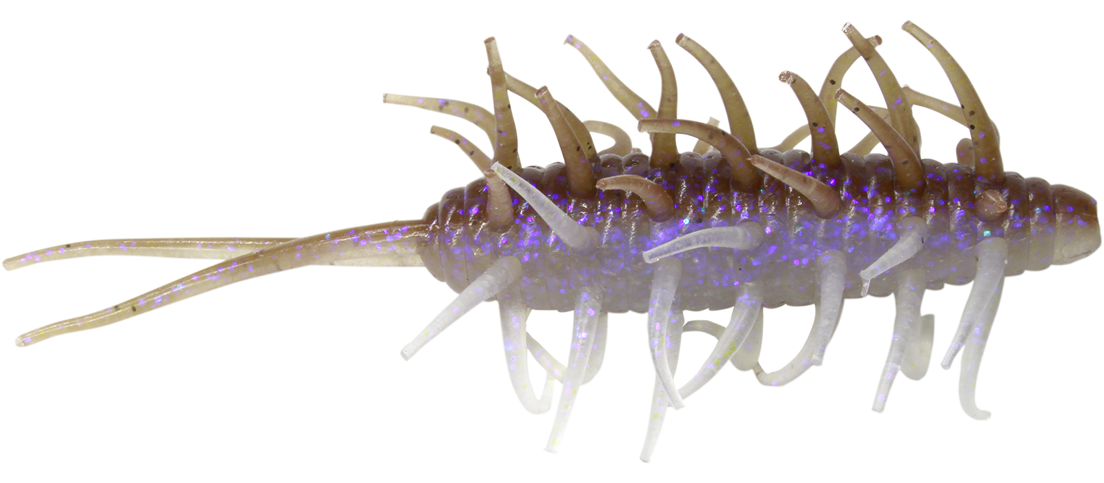 Coike Shrimp Big - HIDEUP