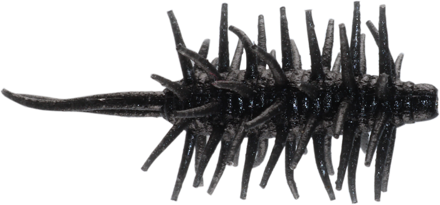 Coike Shrimp Mini - HIDEUP