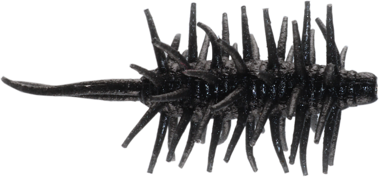 Coike Shrimp Mini - HIDEUP
