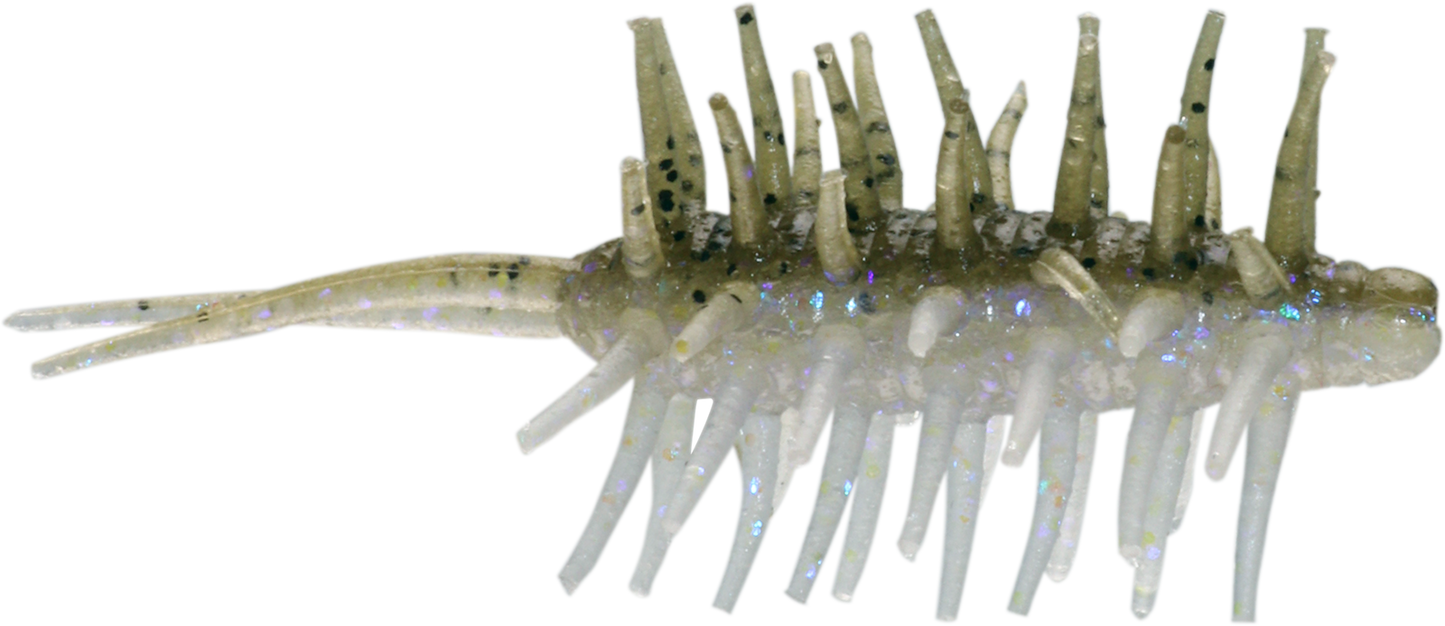 Coike Shrimp Mini - HIDEUP