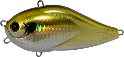HU-N-Greedie Normal model (Saltwater) - HIDEUP