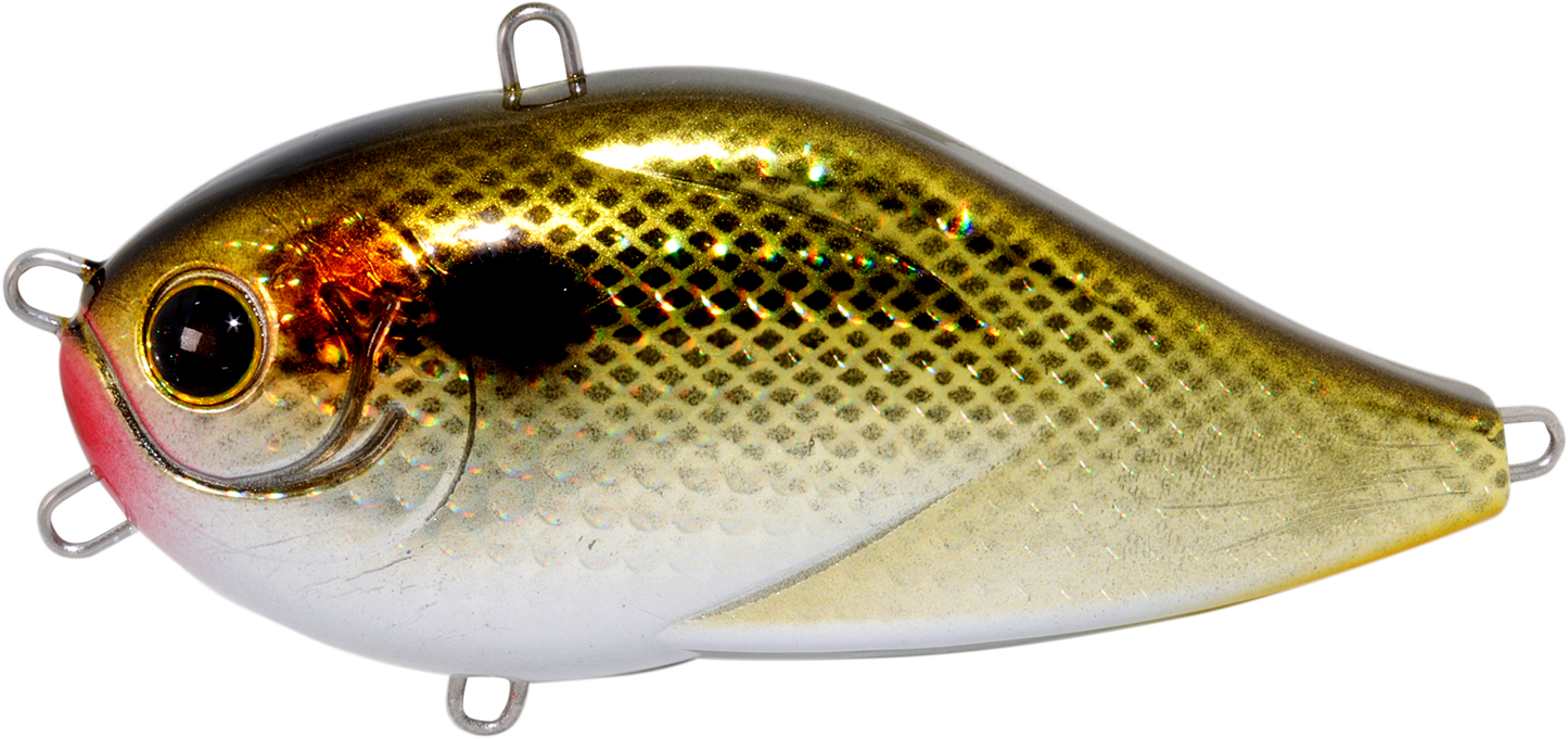 HU-N-Greedie Normal model (Saltwater) - HIDEUP