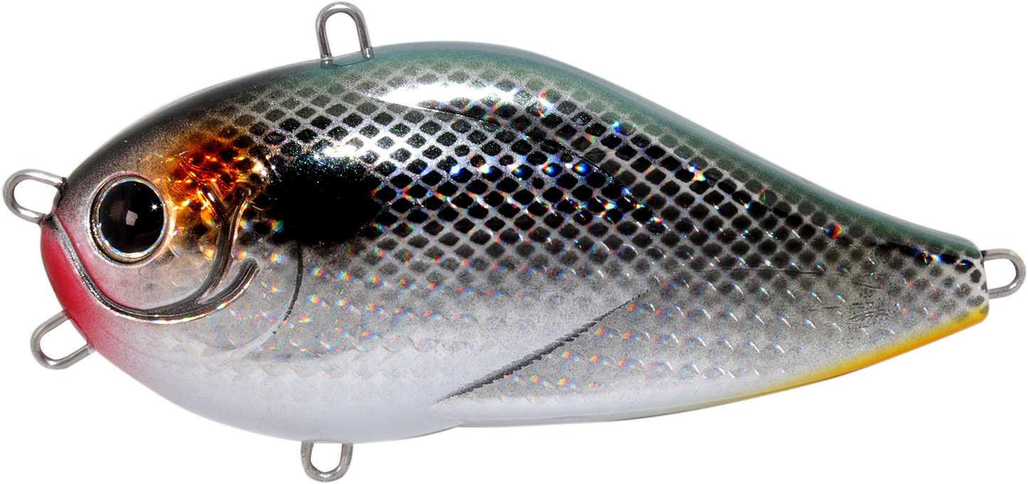 HU-N-Greedie Normal model (Saltwater) - HIDEUP