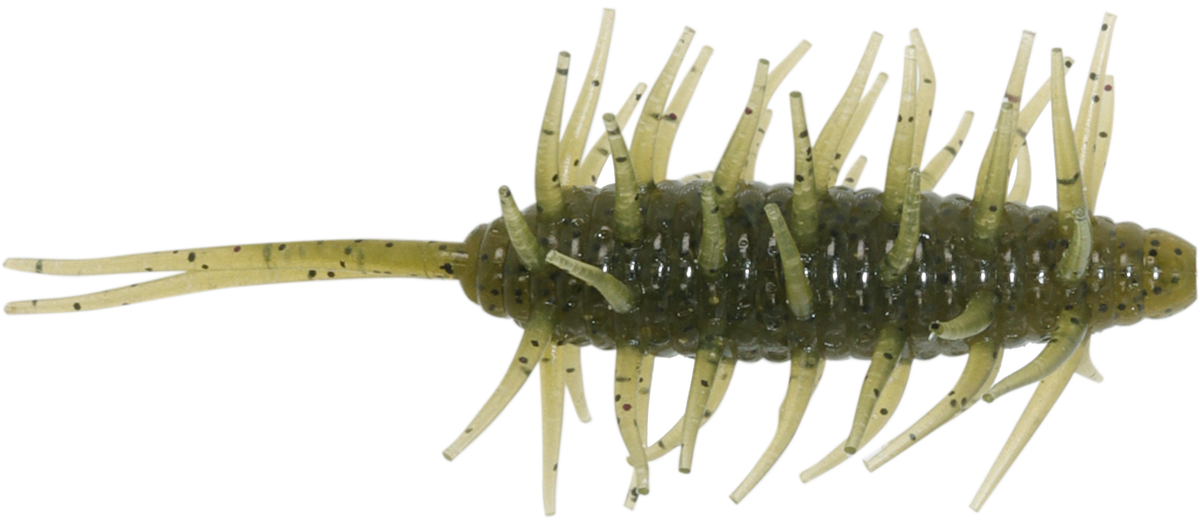 Coike Shrimp Big - HIDEUP