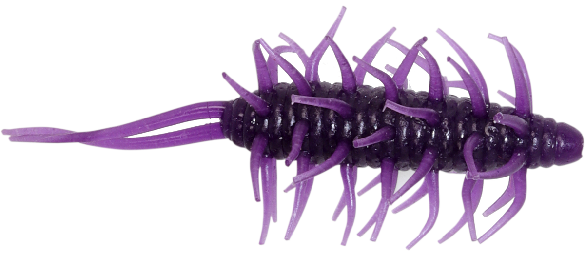 Coike Shrimp Big - HIDEUP