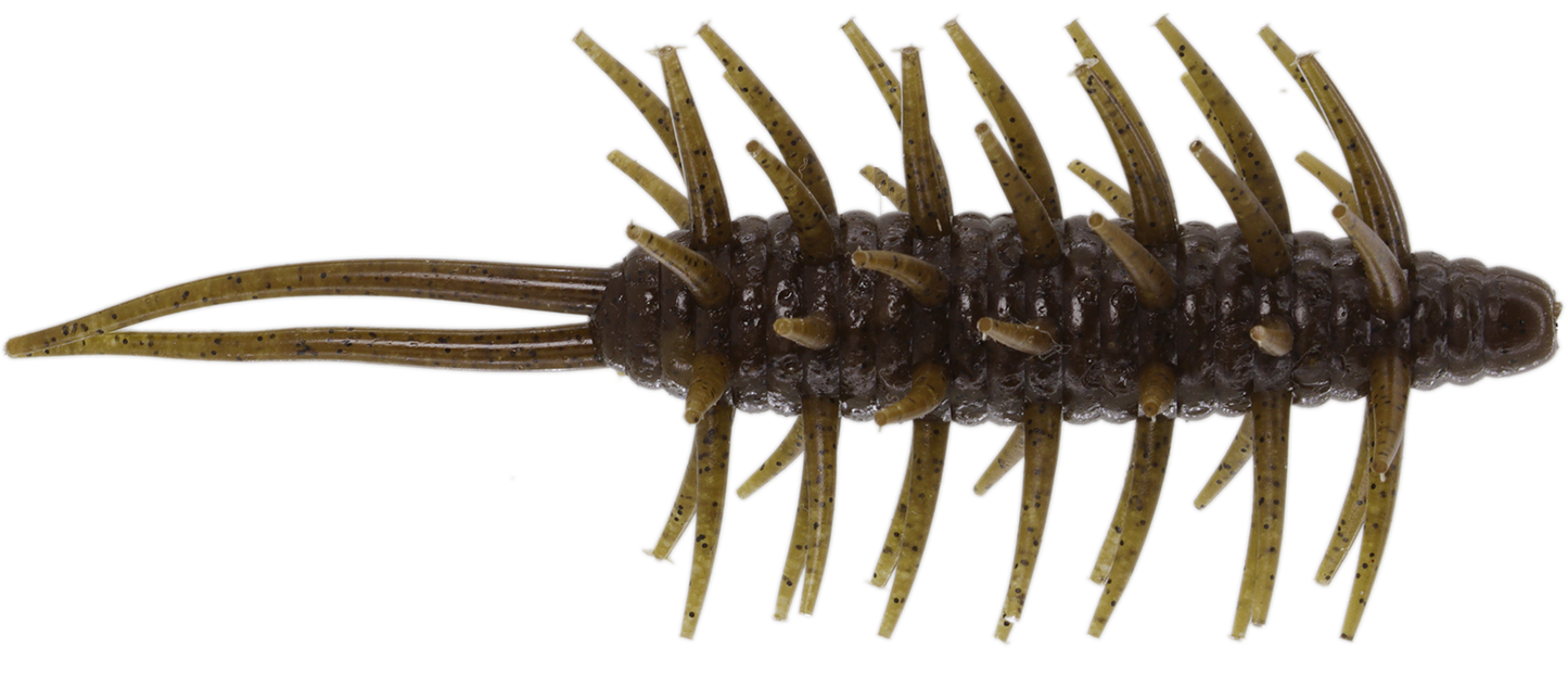 Coike Shrimp Mangun - HIDEUP