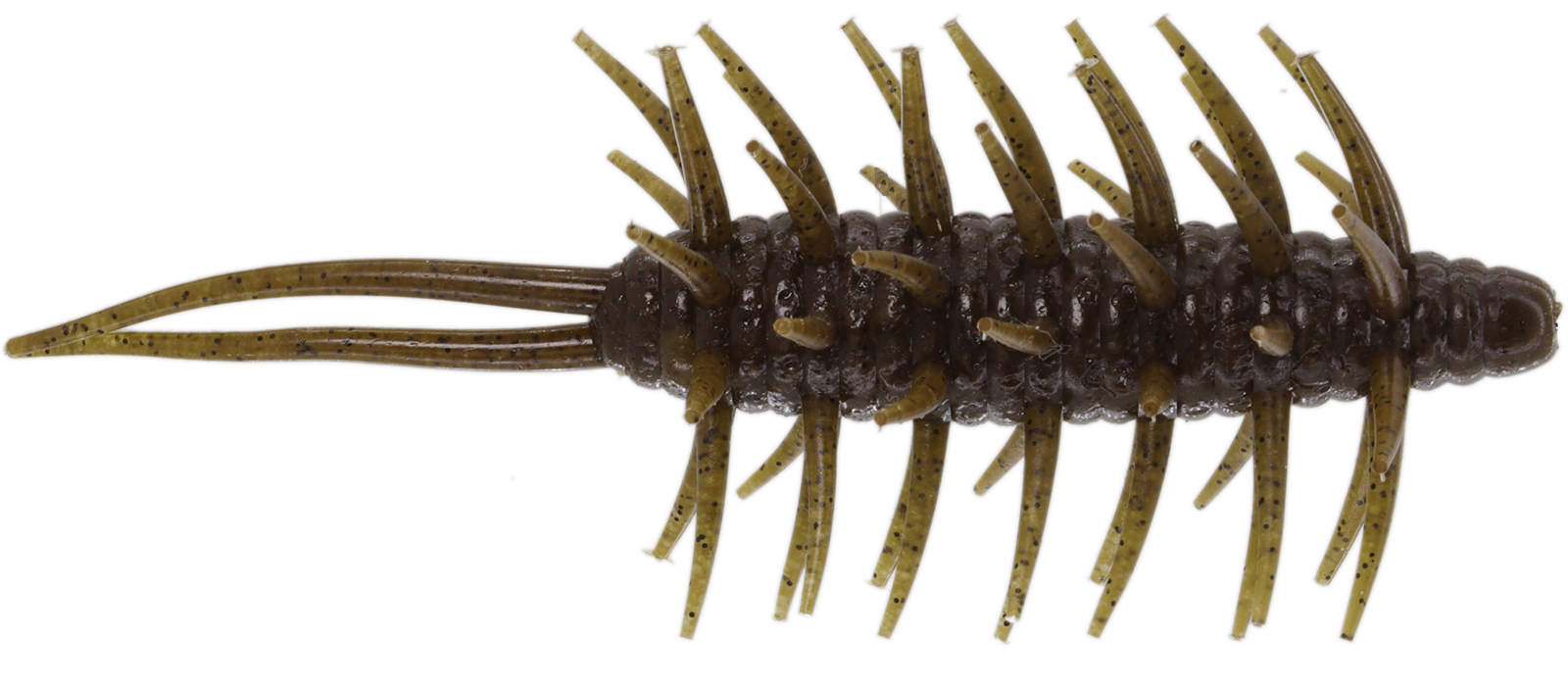 Coike Shrimp Mangun - HIDEUP