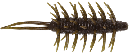 Coike Shrimp Mangun - HIDEUP