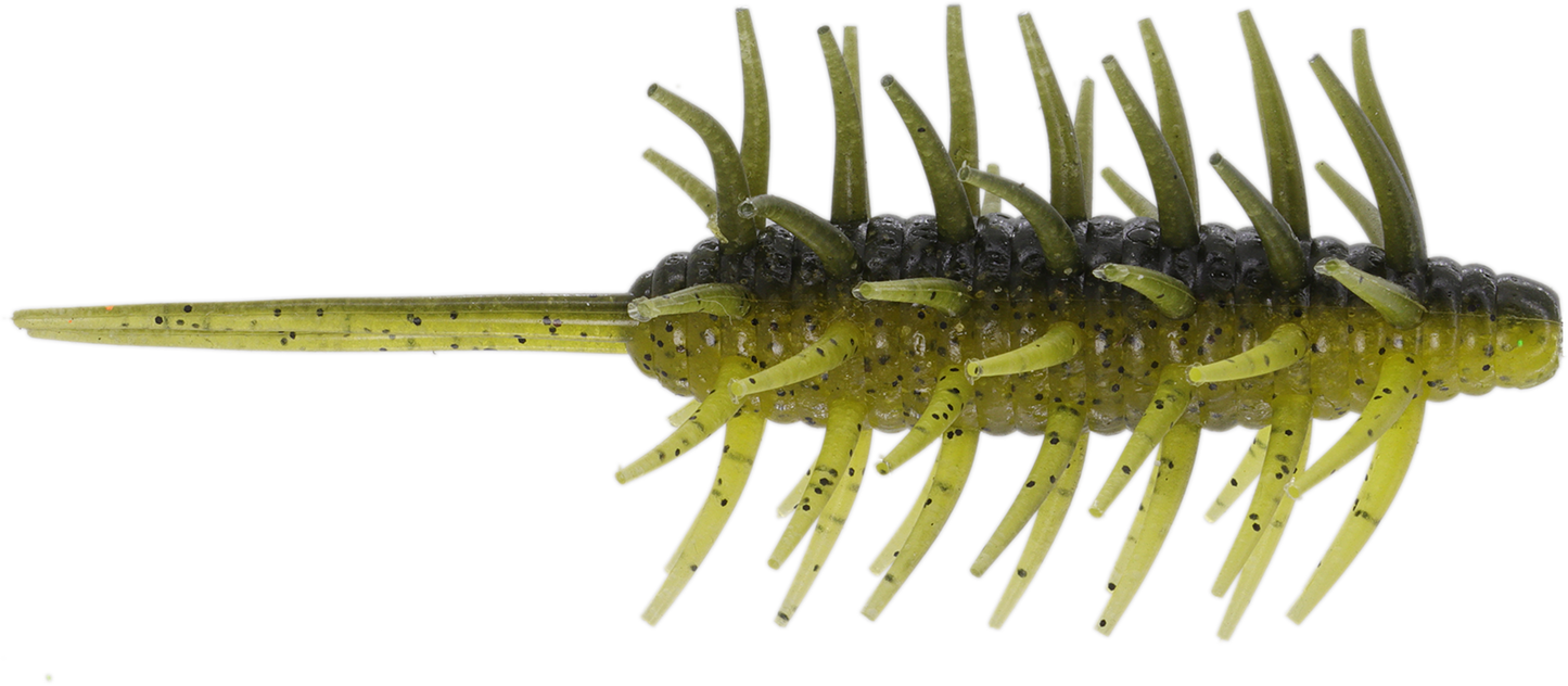 Coike Shrimp Mangun - HIDEUP